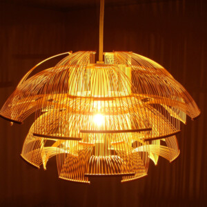 tanitoshiyuki-hokore-p